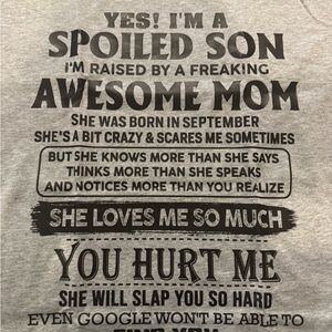 Gray Graphic T-Shirt with Bold Text